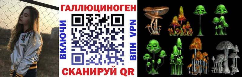 купить Всеволожск Галлюциногенные грибы GOLDEN TEACHER